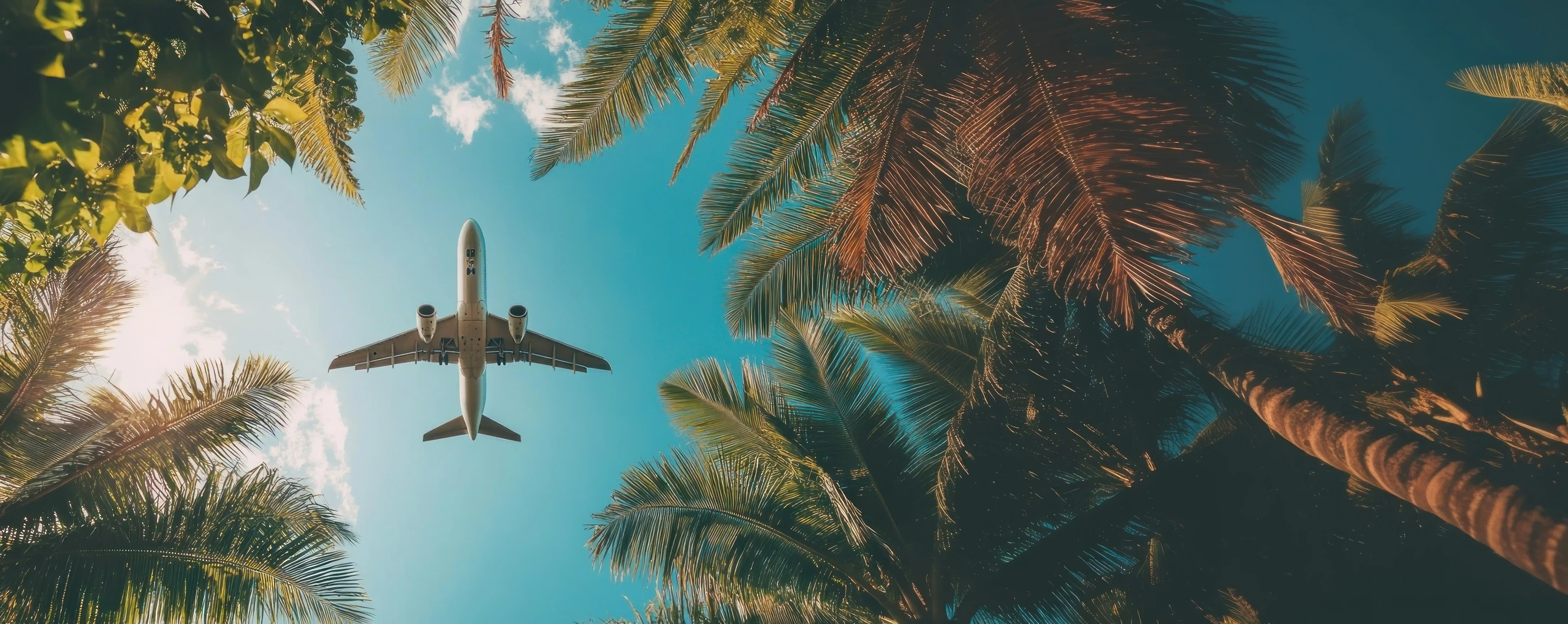 Cinematic Beach Luxury